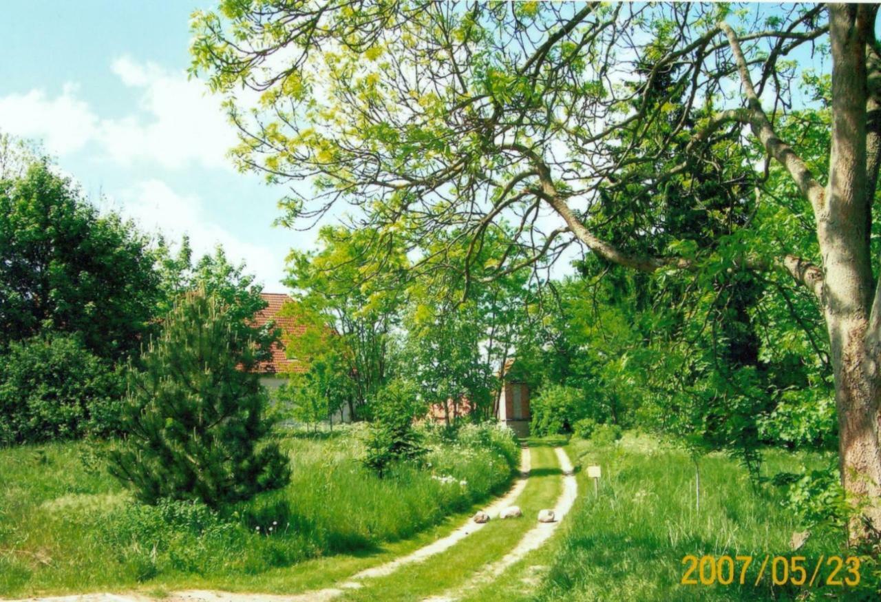 Ferienwohnung Gutshaus Alt-Jargenow Alt Jargenow Exterior foto
